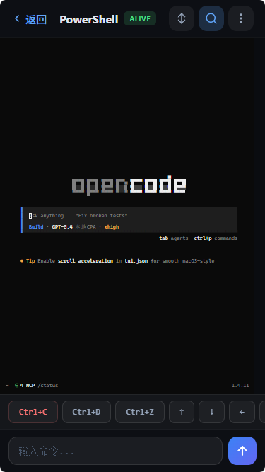 TermCanvas mobile — terminal session